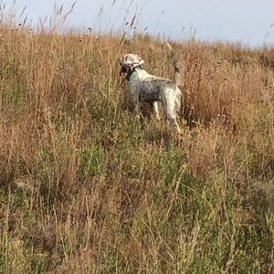 Meet your Posher, Jerrod